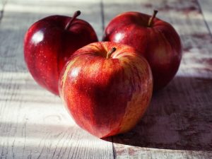 Benefícios da maçã – Saiba como plantar e ter seu próprio pé em casa